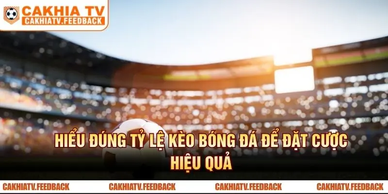 Hiểu đúng tỷ lệ kèo bóng đá để đặt cược hiệu quả